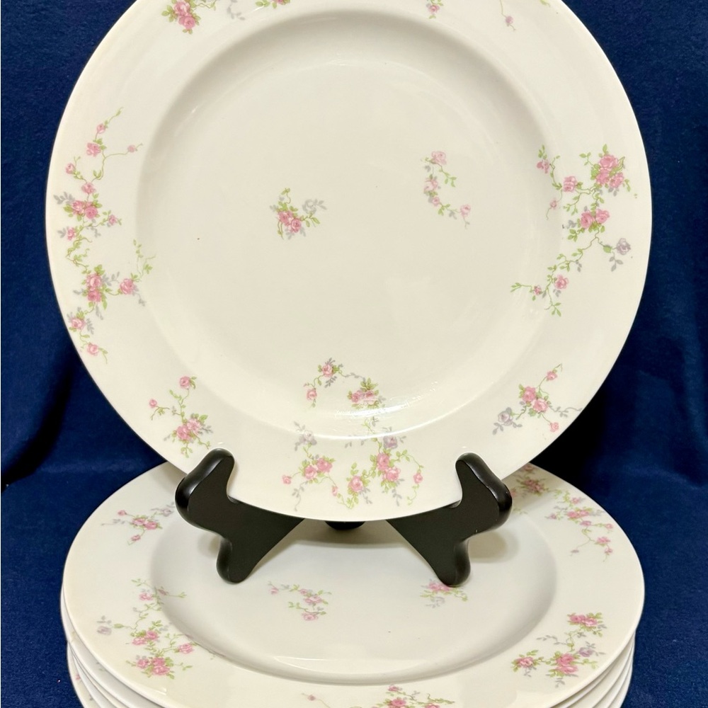 Theodore Haviland New York Made in USA Pink Spray Set of 9 10 1/4" Dinner Plates - Picture 6 of 11